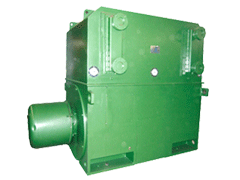 YR5002-8YRKS系列高压电动机