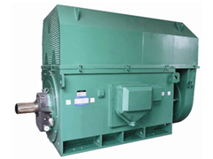 YR5002-8YKK系列高压电机