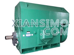 YR5002-8YXKK(2极)高效高压电机技术参数