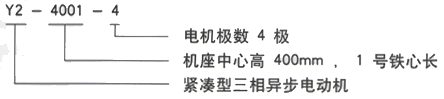 YR系列(H355-1000)高压YR5002-8三相异步电机西安西玛电机型号说明